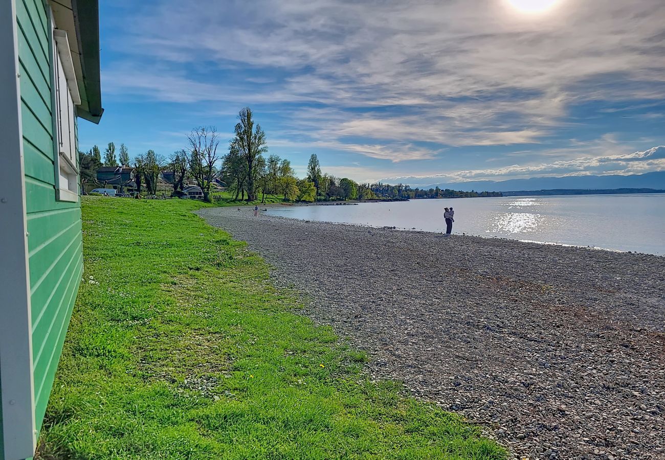 Apartment in Thonon-les-Bains - Les Saules