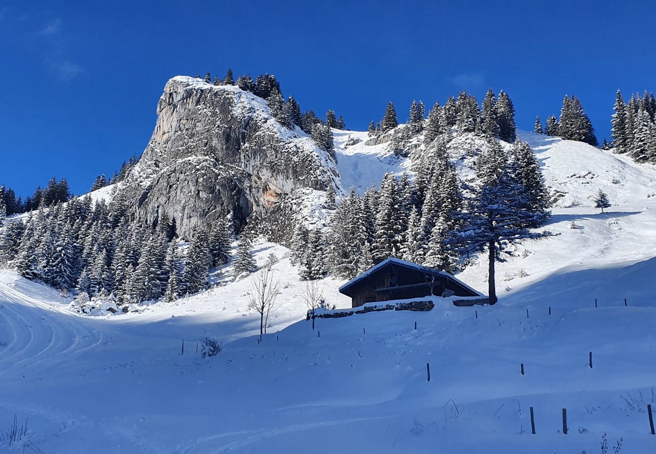 Appartement à Saint-Jean-d´Aulps - Ourson 14