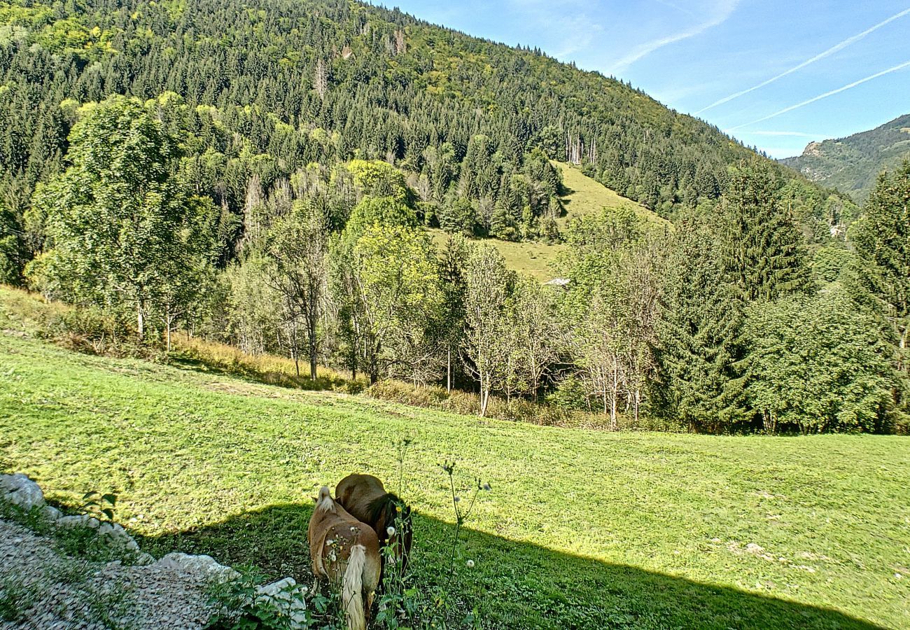 Appartement à Saint-Jean-d´Aulps - Lilou